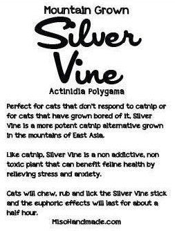 Silver Vine Chew for Cats